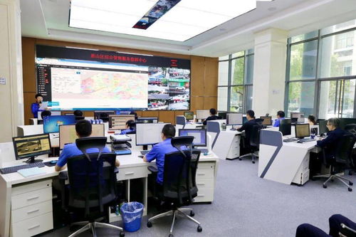 區政協視察全區智慧城管服務系統建設情況 科學化、智能化、智慧化推動城市治理新格局